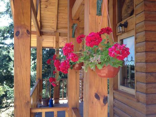 Posada Hoster�a B�renhaus