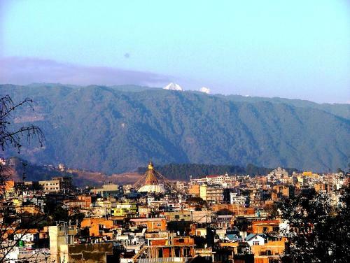 Everest Home Stay Apartment