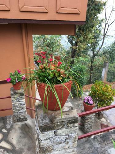 Hotel Hidden Paradise Guest House