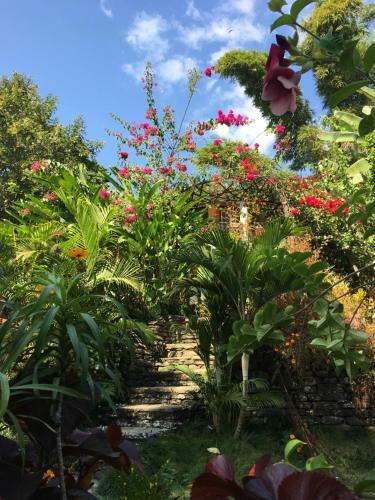 Hotel Hidden Paradise Guest House
