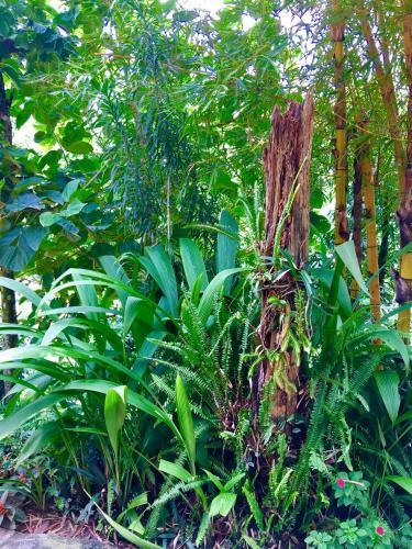 Hotel Hidden Paradise Guest House