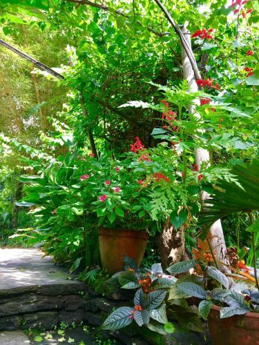 Hotel Hidden Paradise Guest House