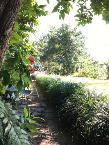 Hotel Hidden Paradise Guest House