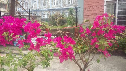 Hostal Galaxy Inn Guest House
