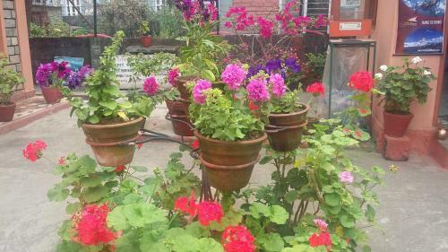 Hostal Galaxy Inn Guest House