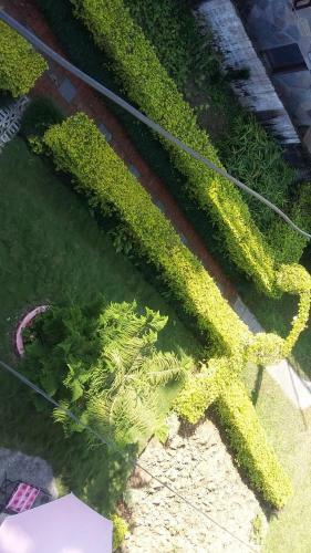 Hostal Galaxy Inn Guest House