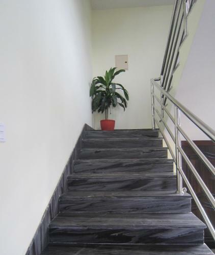 Hotel New Annapurna Guest House