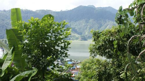 Hostal Peace Guest House