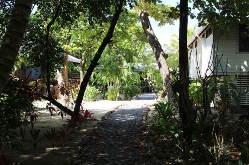 Coconut Grove