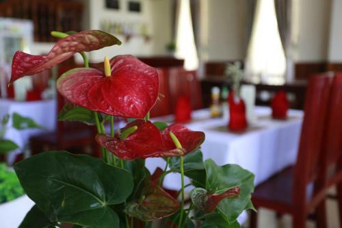 Hotel Chheng Bopha Villa Angkor
