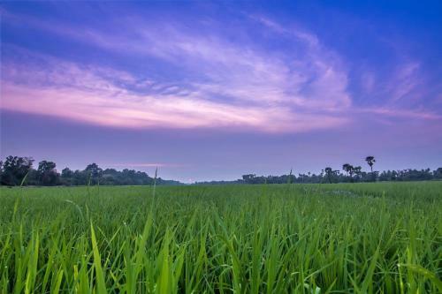 Chhay Long Angkor Boutique Hotel Siem Reap