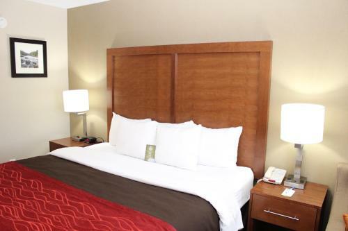 Hotel Comfort Inn Bangor