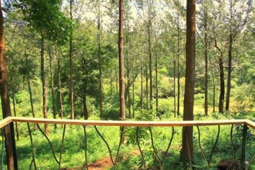 Hotel Gorukana Eco Wellness Retreat