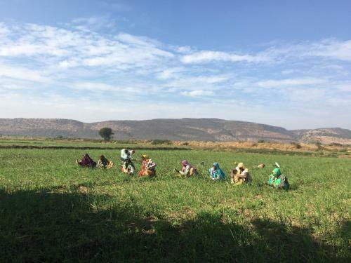 Agroturismo Amourcasa Homestay