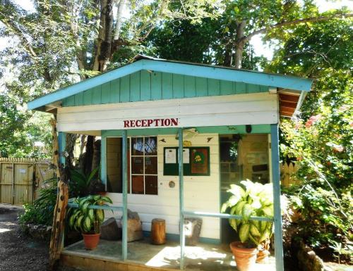 Hotel Banana Shout Resort