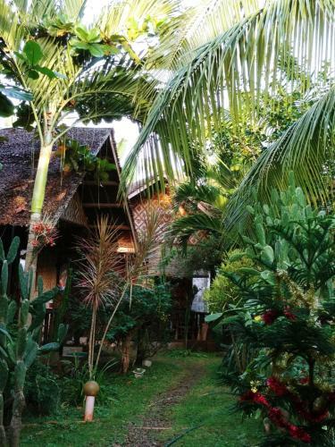 Posada Reggae Guesthouse