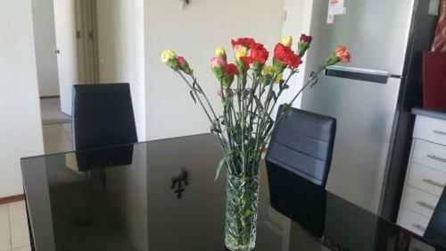 Apartamento Papudo Laguna