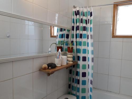 Apartamento Departamento Valdivia