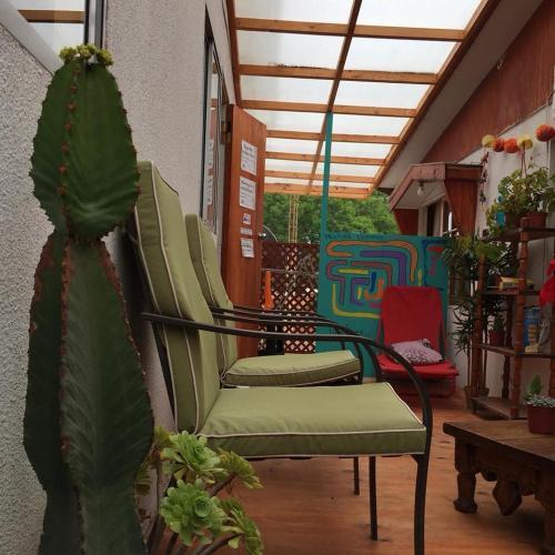 Hostel Cactus