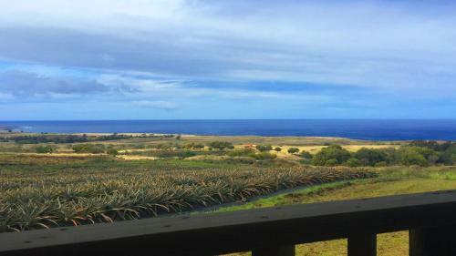 Maunga Roa Eco Lodge