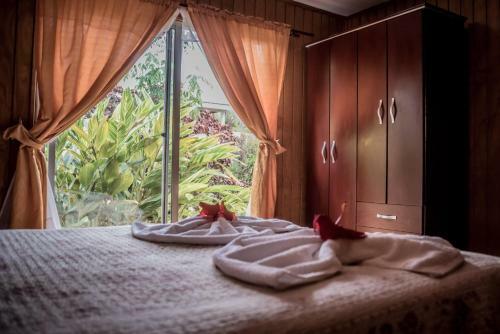 Hostal Y Caba�as Aorangi