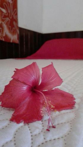 Hostal Mat�