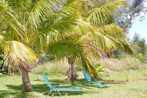 Hostal Hare Pakoba Guest House