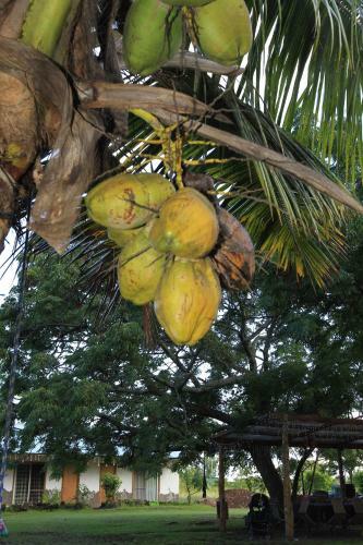 Hostal Hare Pakoba Guest House