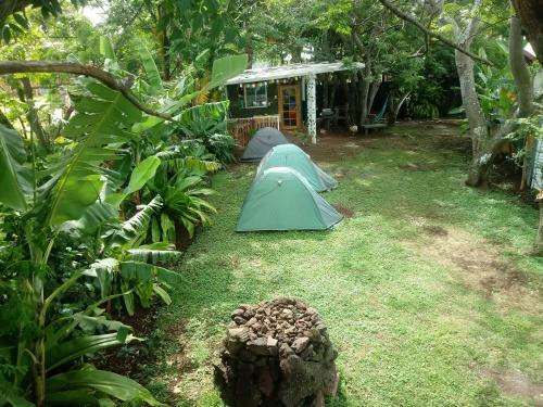 Moehiva