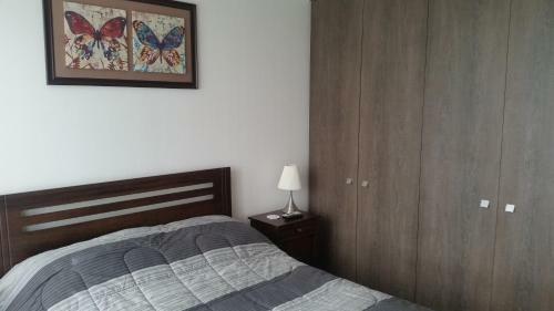Apartamento Departamento En Pucon