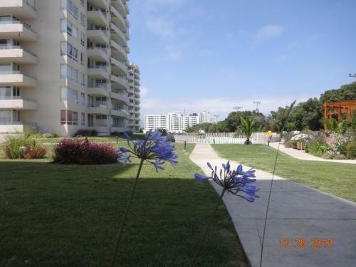 Apartamento Departamento Avenida Pac�fico