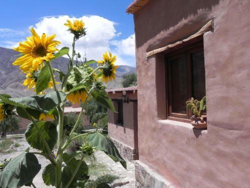 Posada Suri Huasi
