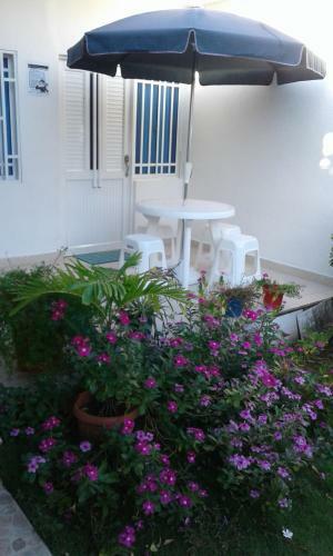 Apartamento Miss Margaritas�s House