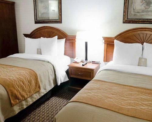 Motel Comfort Inn - Toronto Northeast