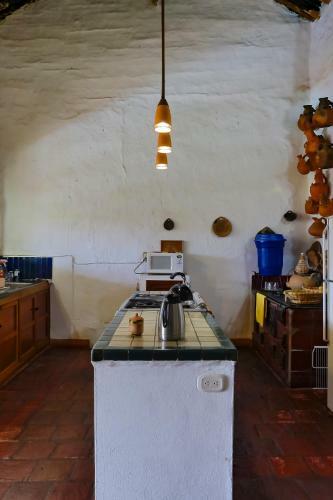 Bed & Breakfast Color de Hormiga Hostel