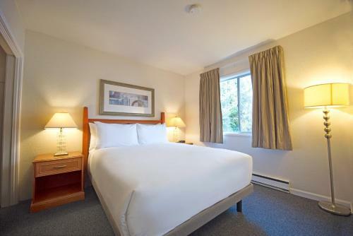 Motel Robin Hood Inn And Suites