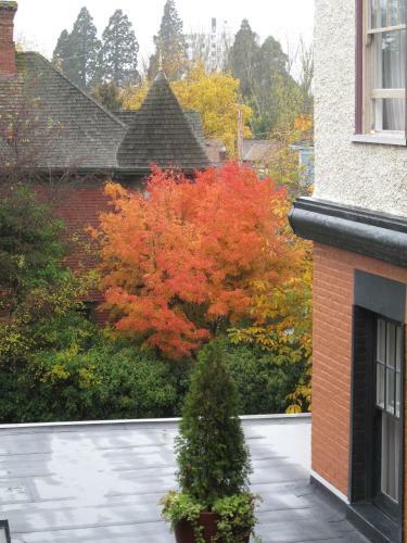 James Bay Inn Hotel, Suites & Cottage