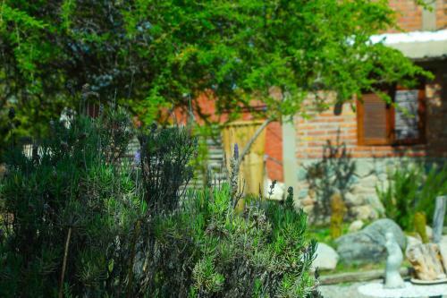 Lodge Caba�as De Monta�a Rio Amarillo