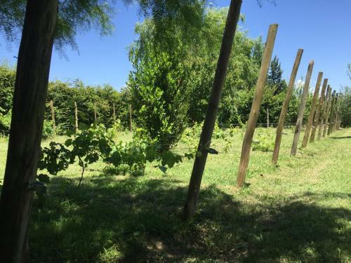 Hotel Tikaykilla Lodge & Wines