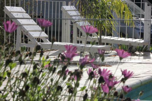 Apartamento Caba�as Del Dique