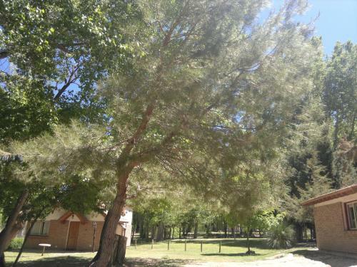 Lodge Caba�as Del Pastizal
