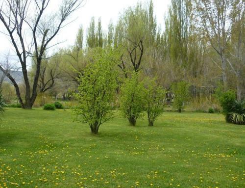 Posada Hoster�a Chimehuin