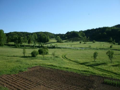 Hostal Adriana Guesthouse