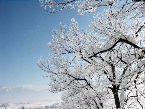 Bed & Breakfast Pension And Restaurant La Collina