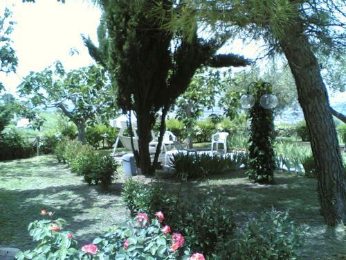 Bed&breakfast Giardino Agritourist