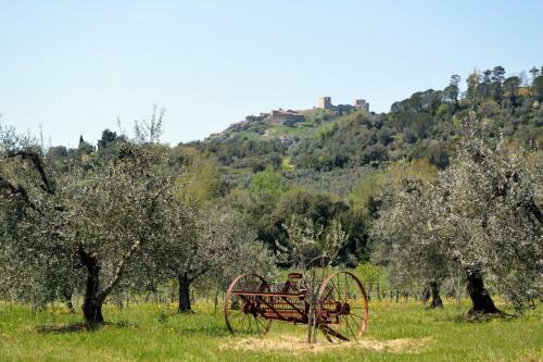Agroturismo Country House Il Ciliegio