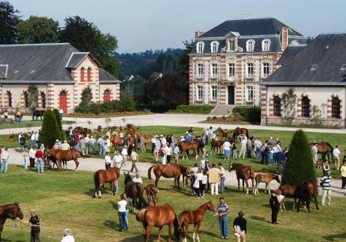 Brit Hotel Saint-lo- Spa & Fitness