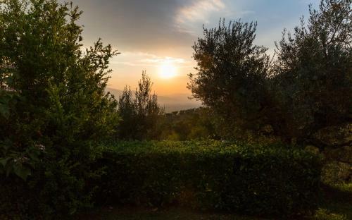 Agroturismo Il Poggio Degli Olivi