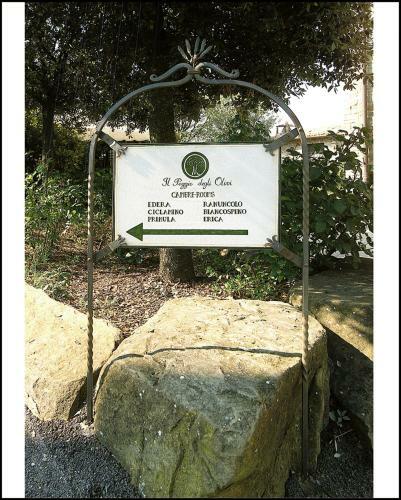 Agroturismo Il Poggio Degli Olivi