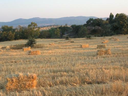 Agroturismo Finca La Ramallosa